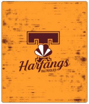 Couverture doudou Harfangs